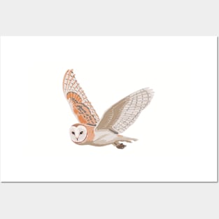 Midnight Barn Owl Posters and Art